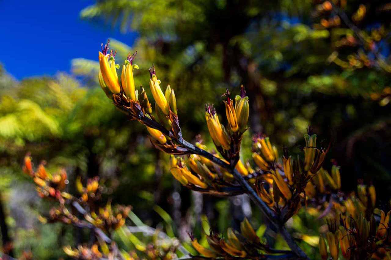 home-banner-07